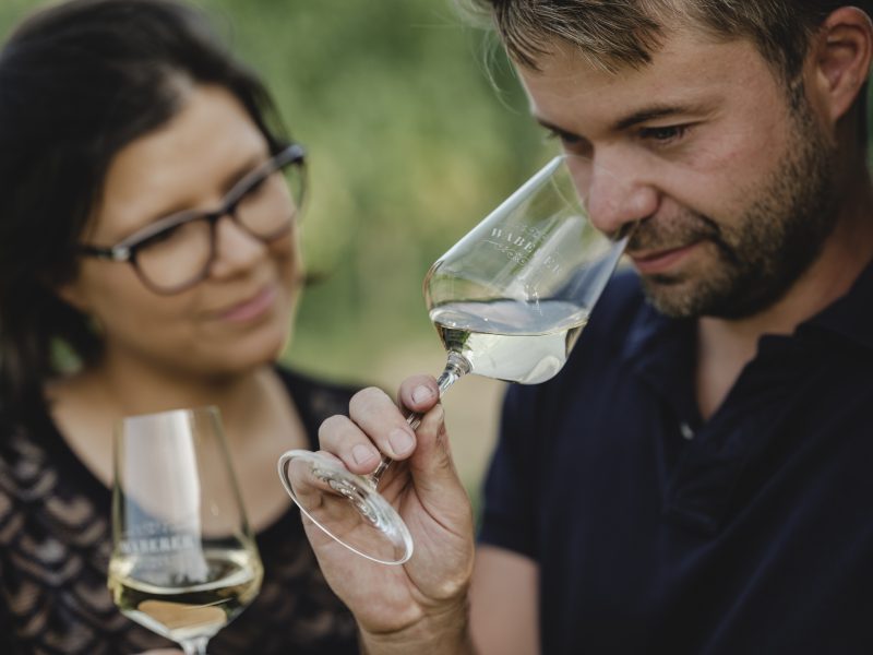 waberer_pic-weine1 Sibel und Alexander Waberer verkosten den Wein